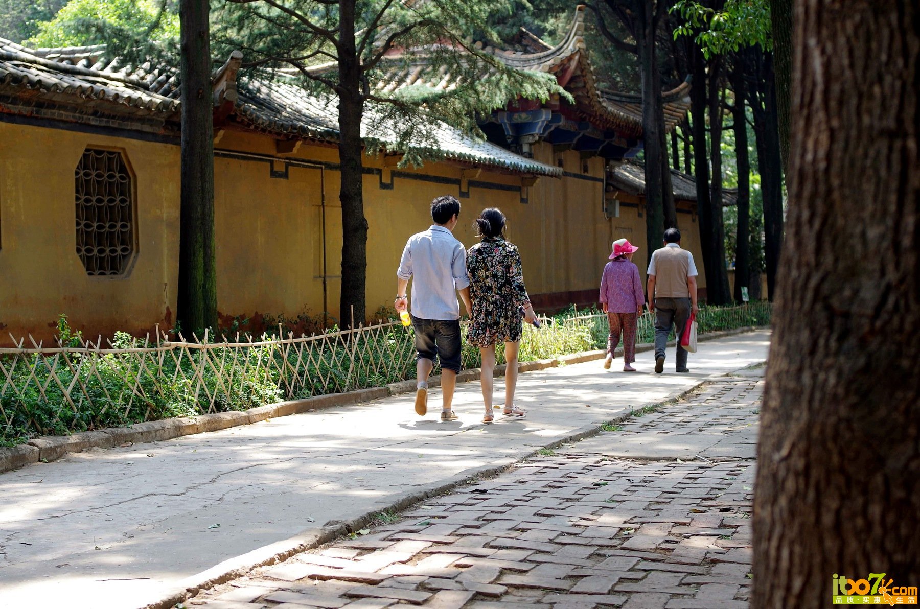IMGP1761_副本_副本.jpg
