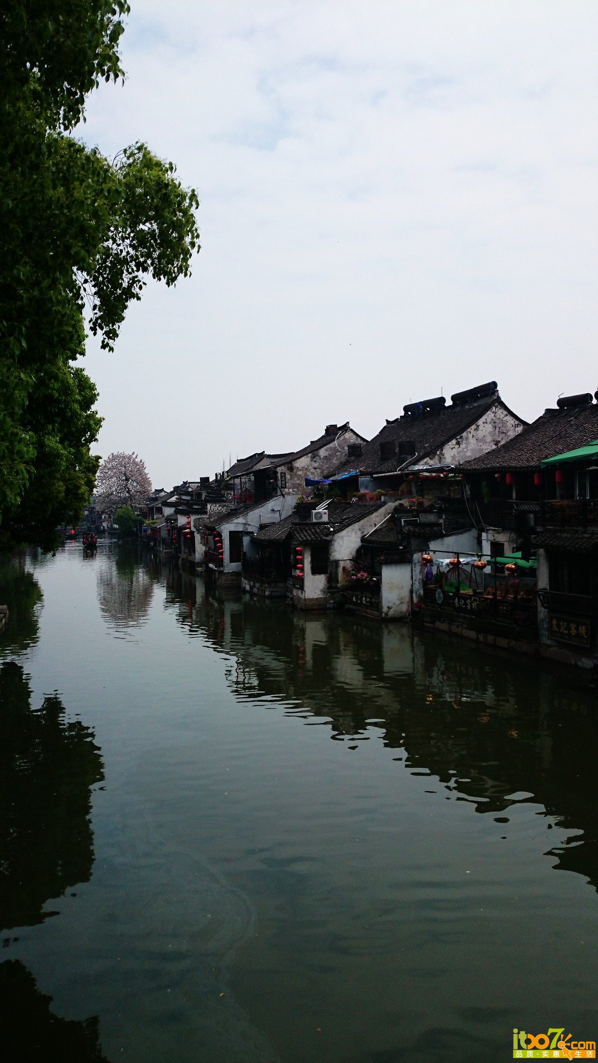 DSC_0104.jpg