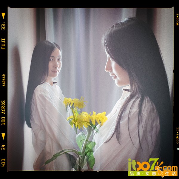 film03.jpg