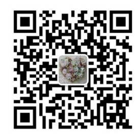 IMG_1703_副本.jpg