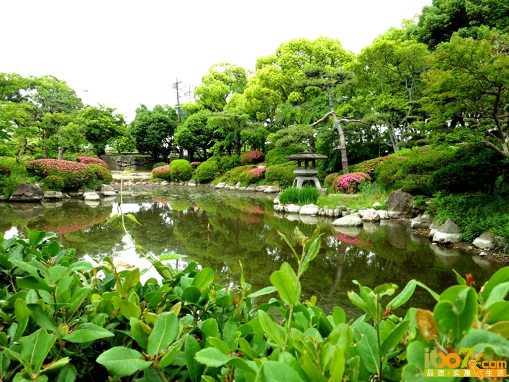 IMG_7007_副本.jpg