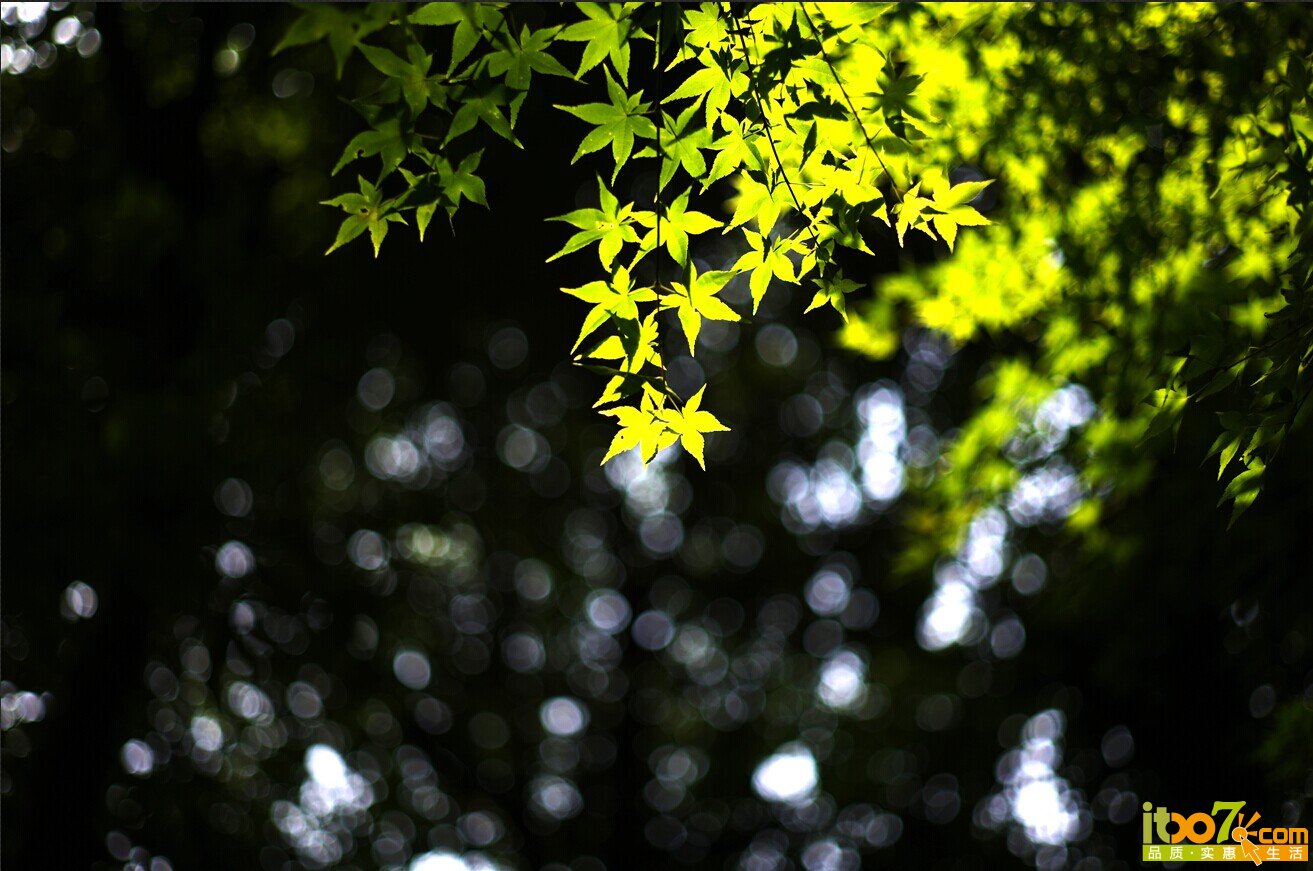 QQ图片20140723004208.jpg