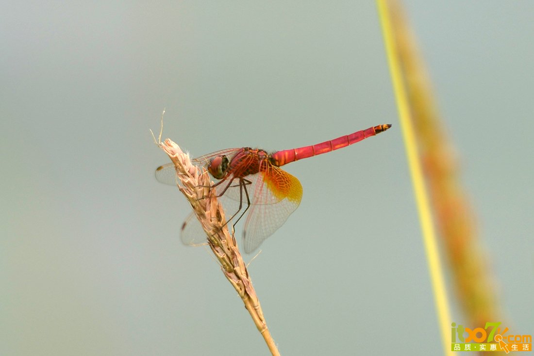 DSC_9981.JPG