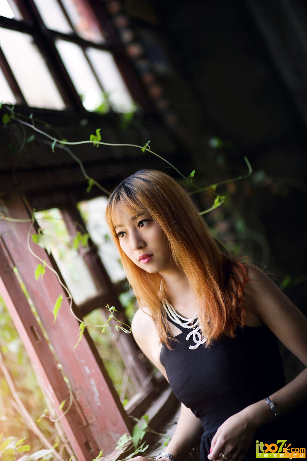 YU4V0009.jpg