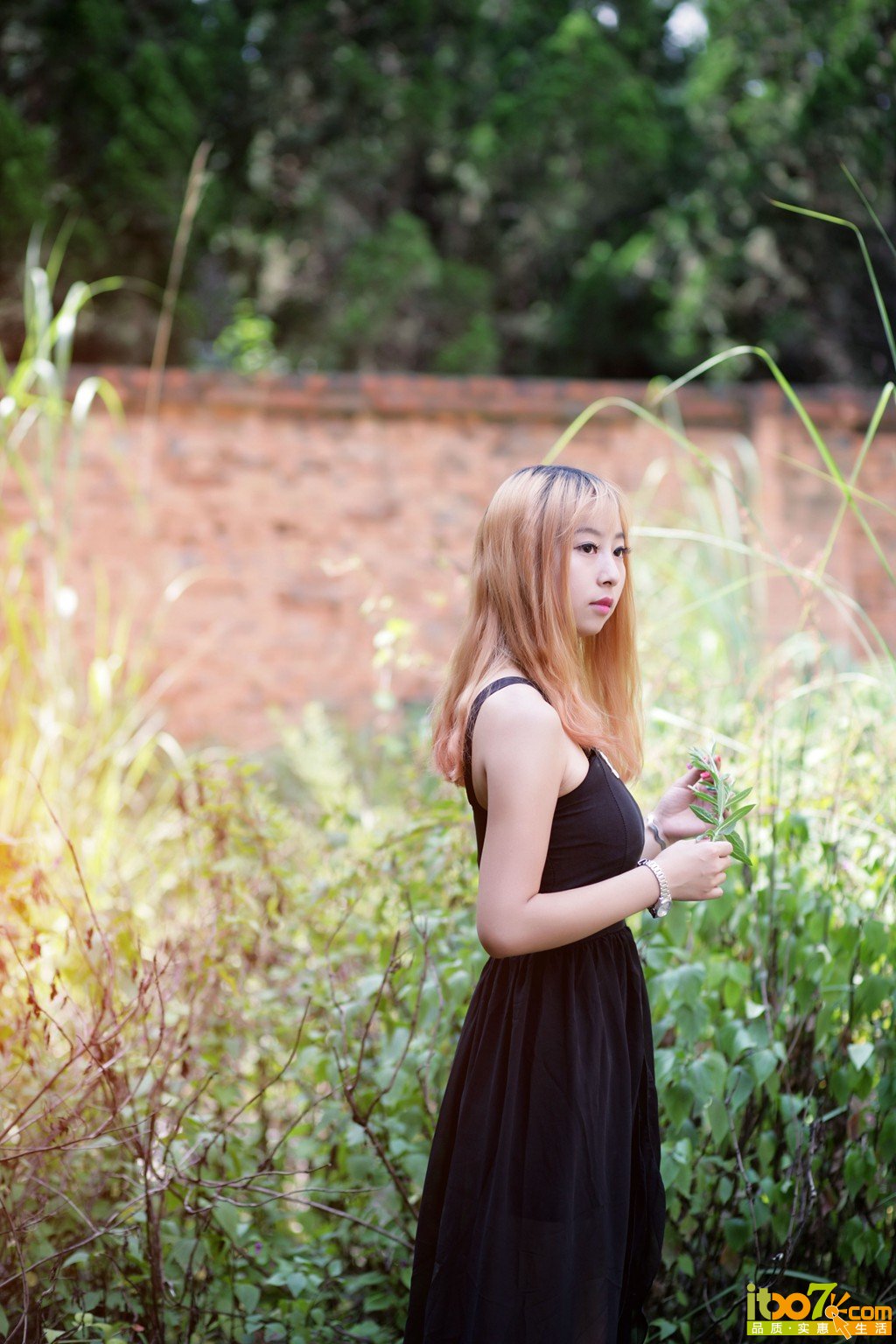 YU4V0052.jpg