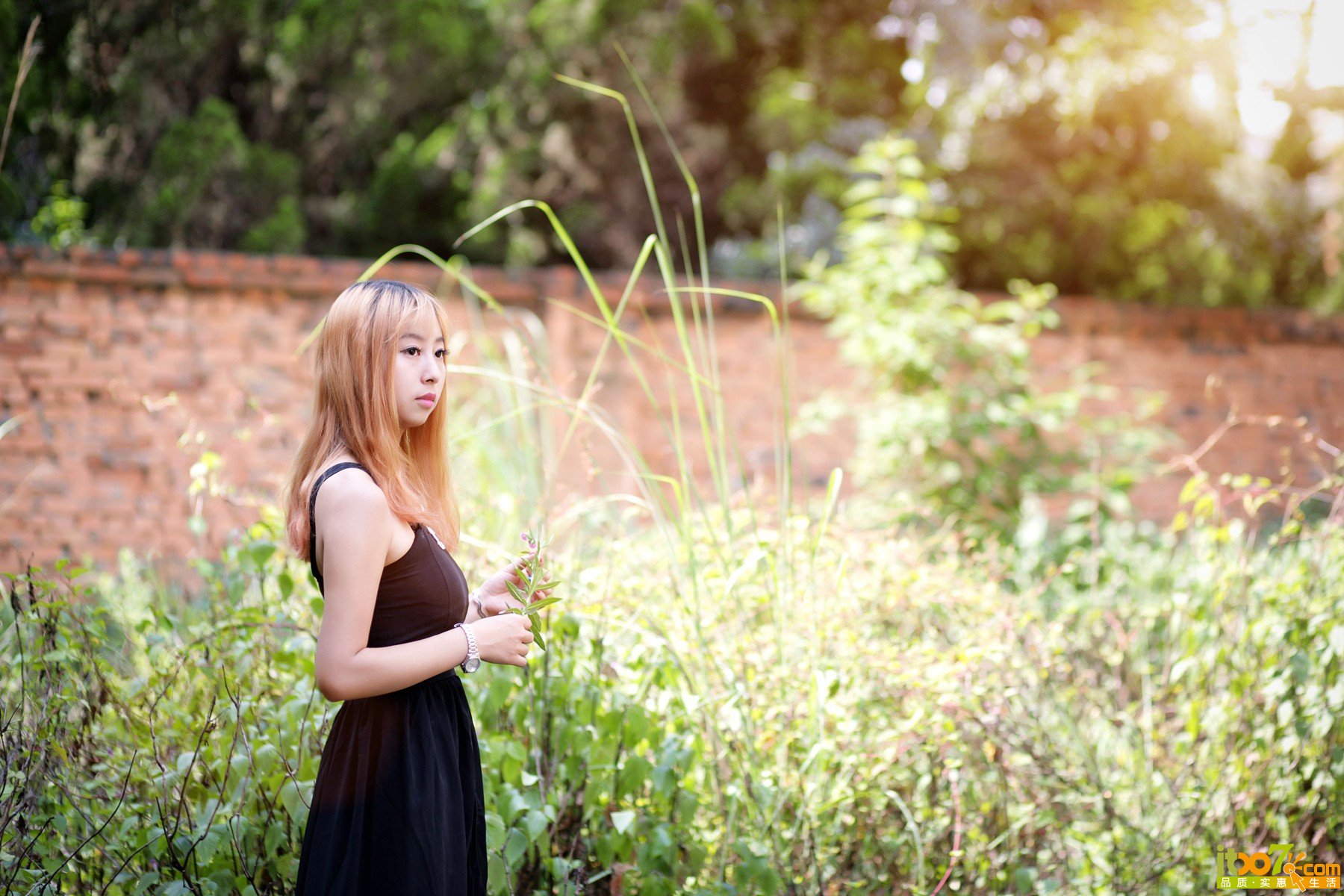 YU4V0053.jpg