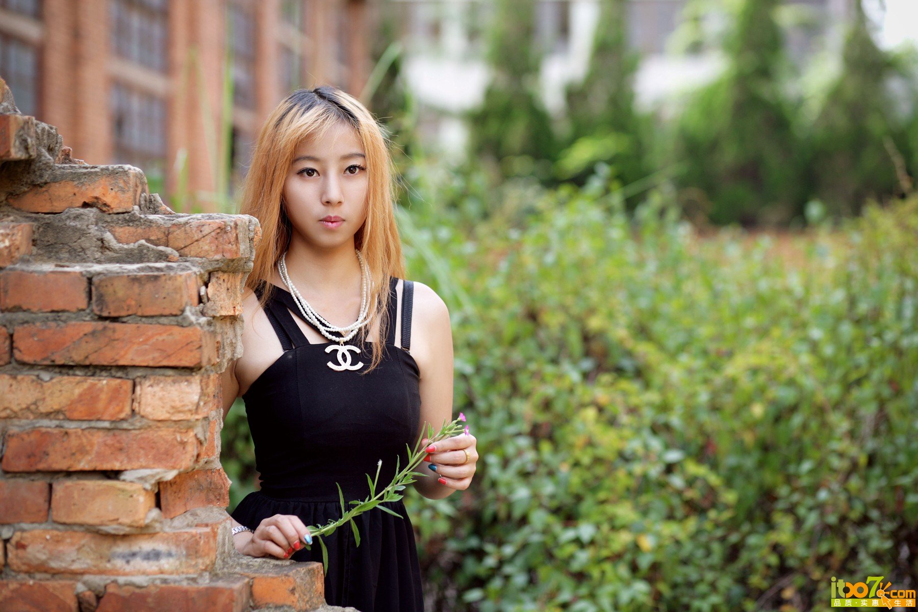 YU4V0058.jpg