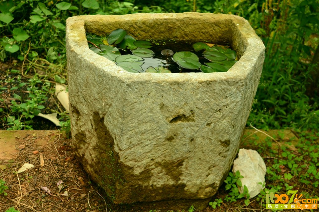 DSC_1219.jpg
