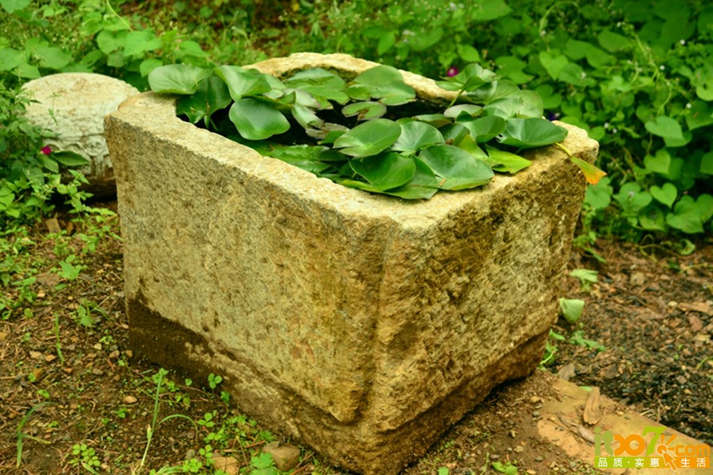 DSC_1221.jpg