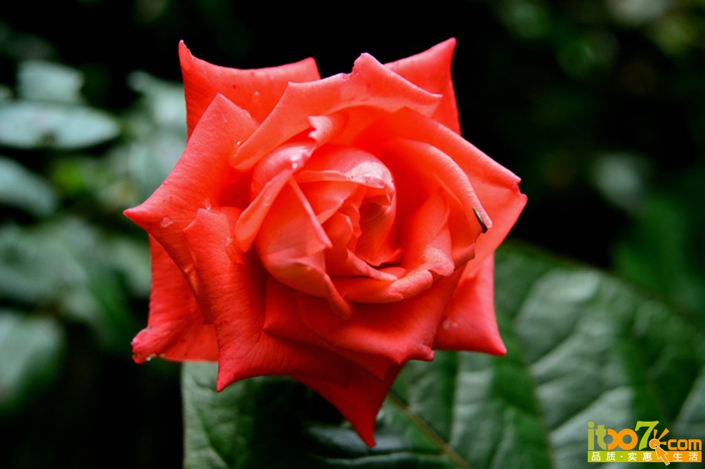 DSC_1134.jpg