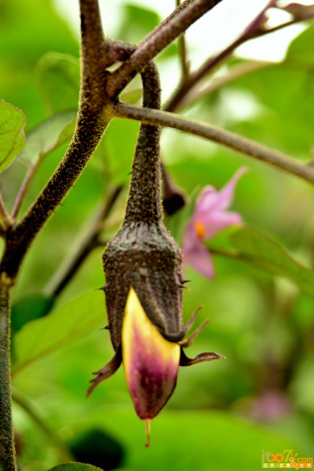 DSC_1251.jpg