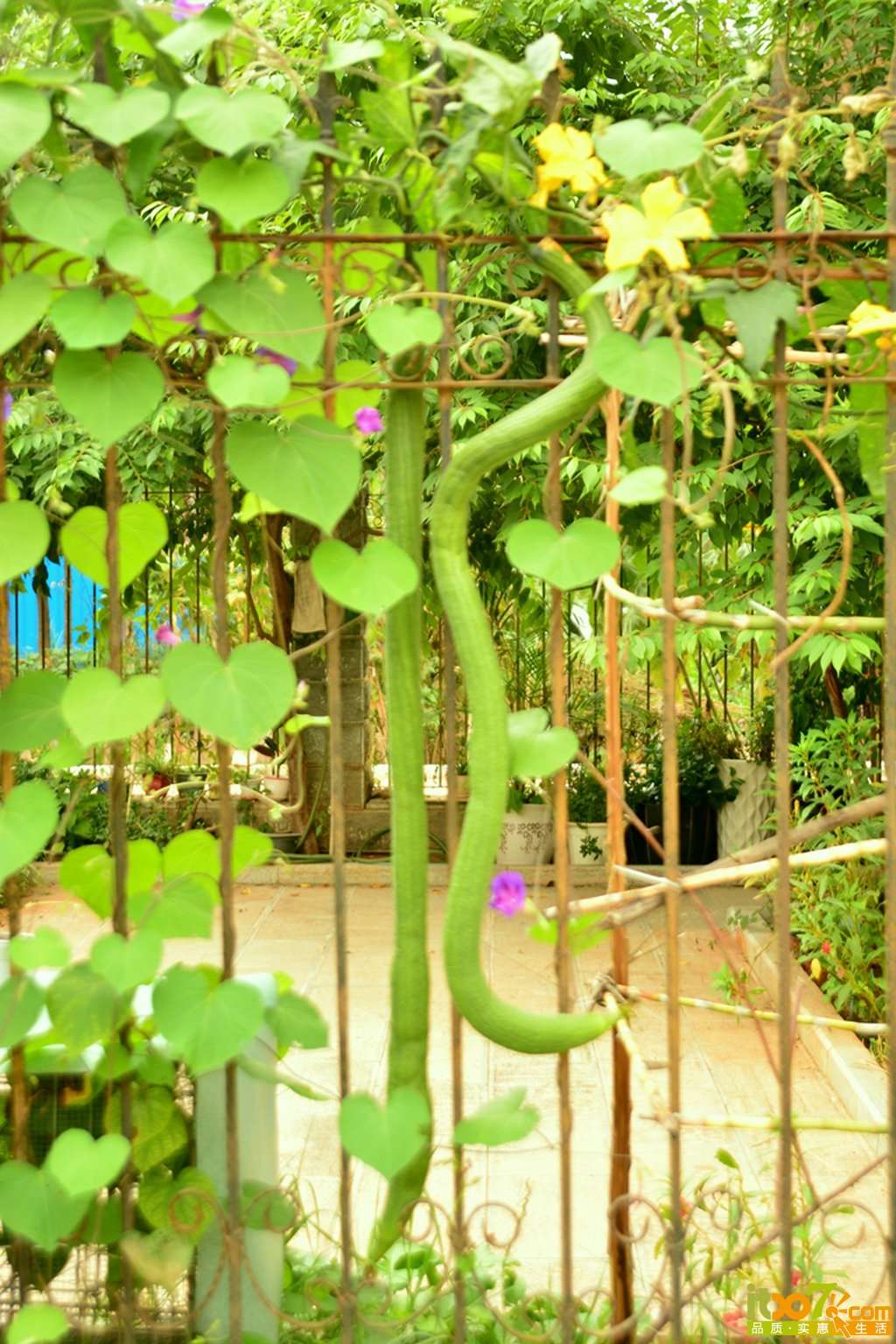 DSC_1252.jpg