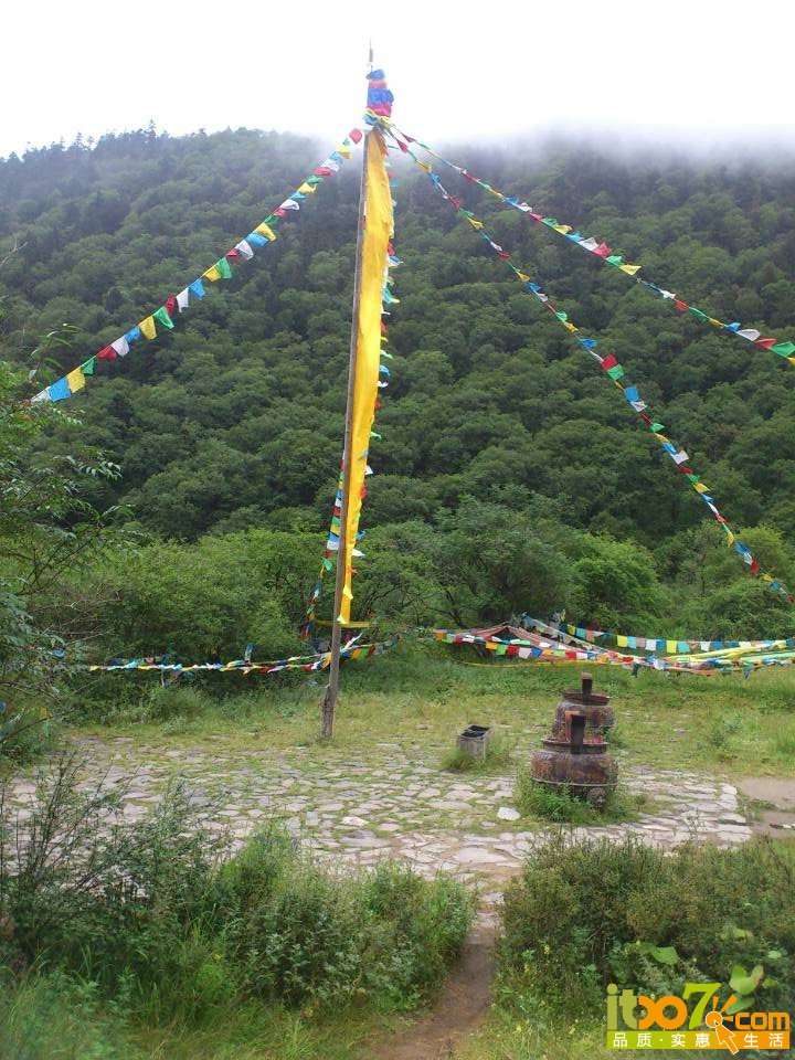 QQ图片20140823080743.jpg