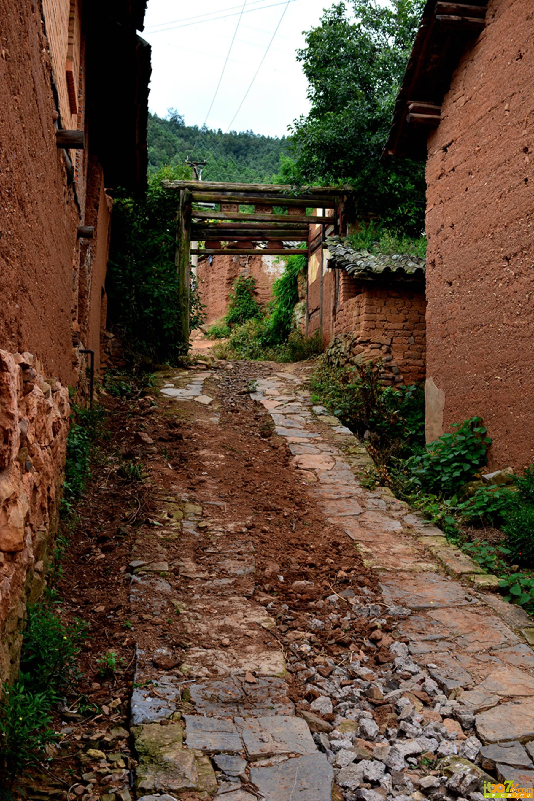 DSC_1296.jpg