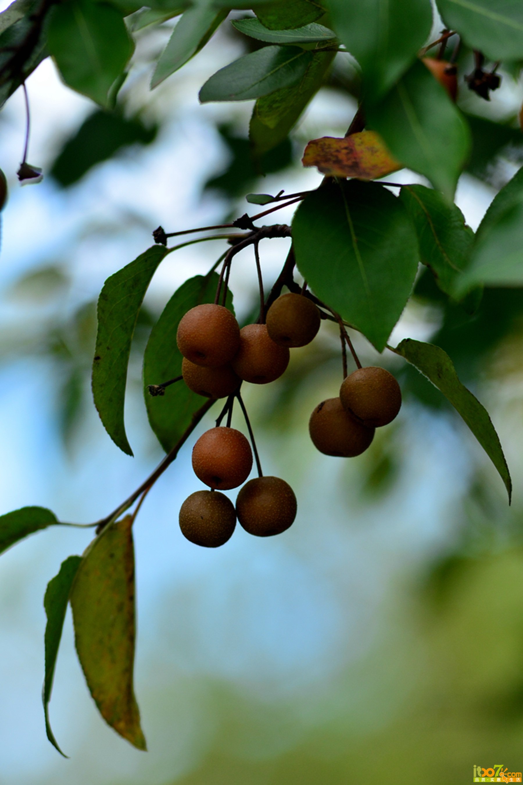 DSC_1340.jpg