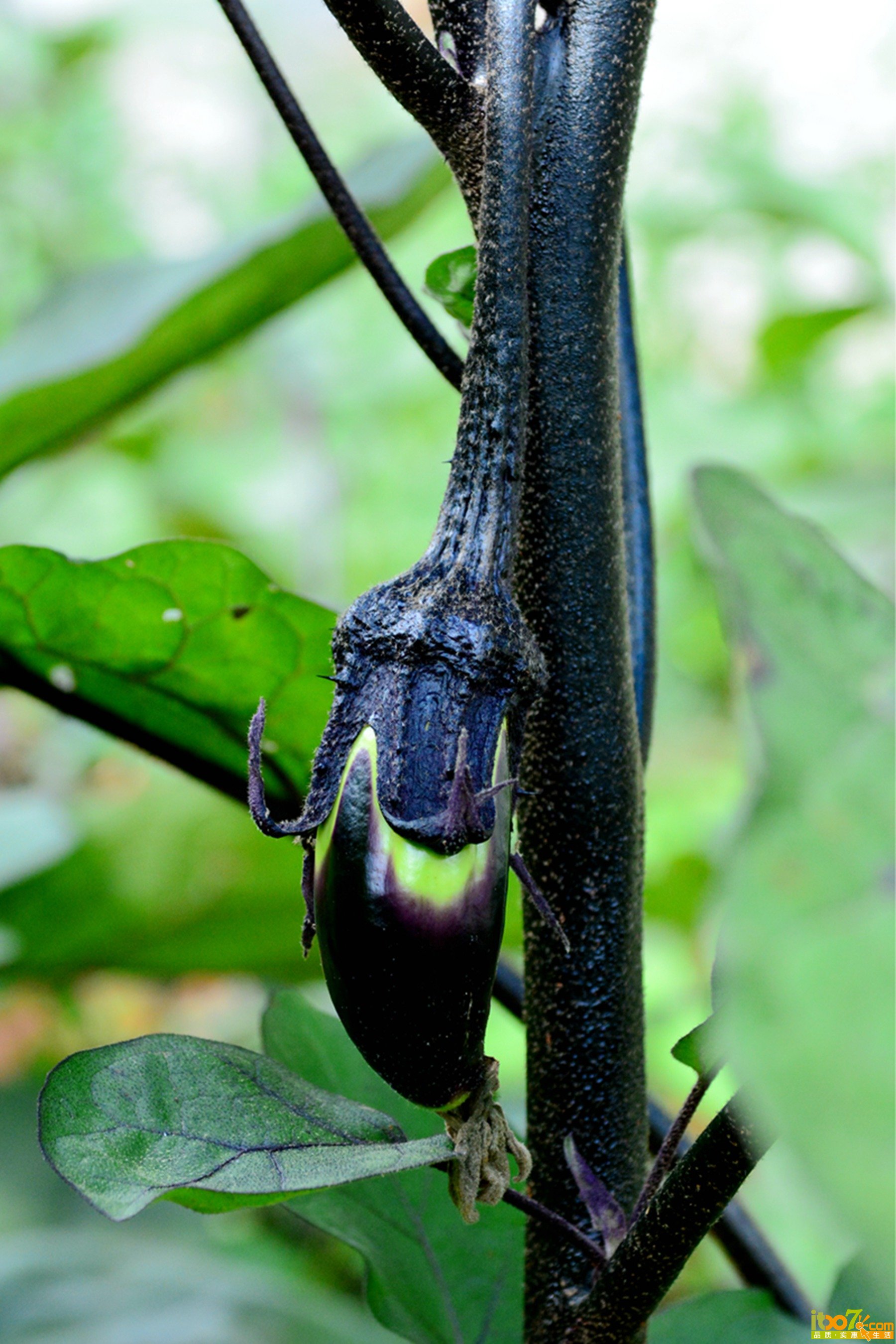 DSC_1359.jpg