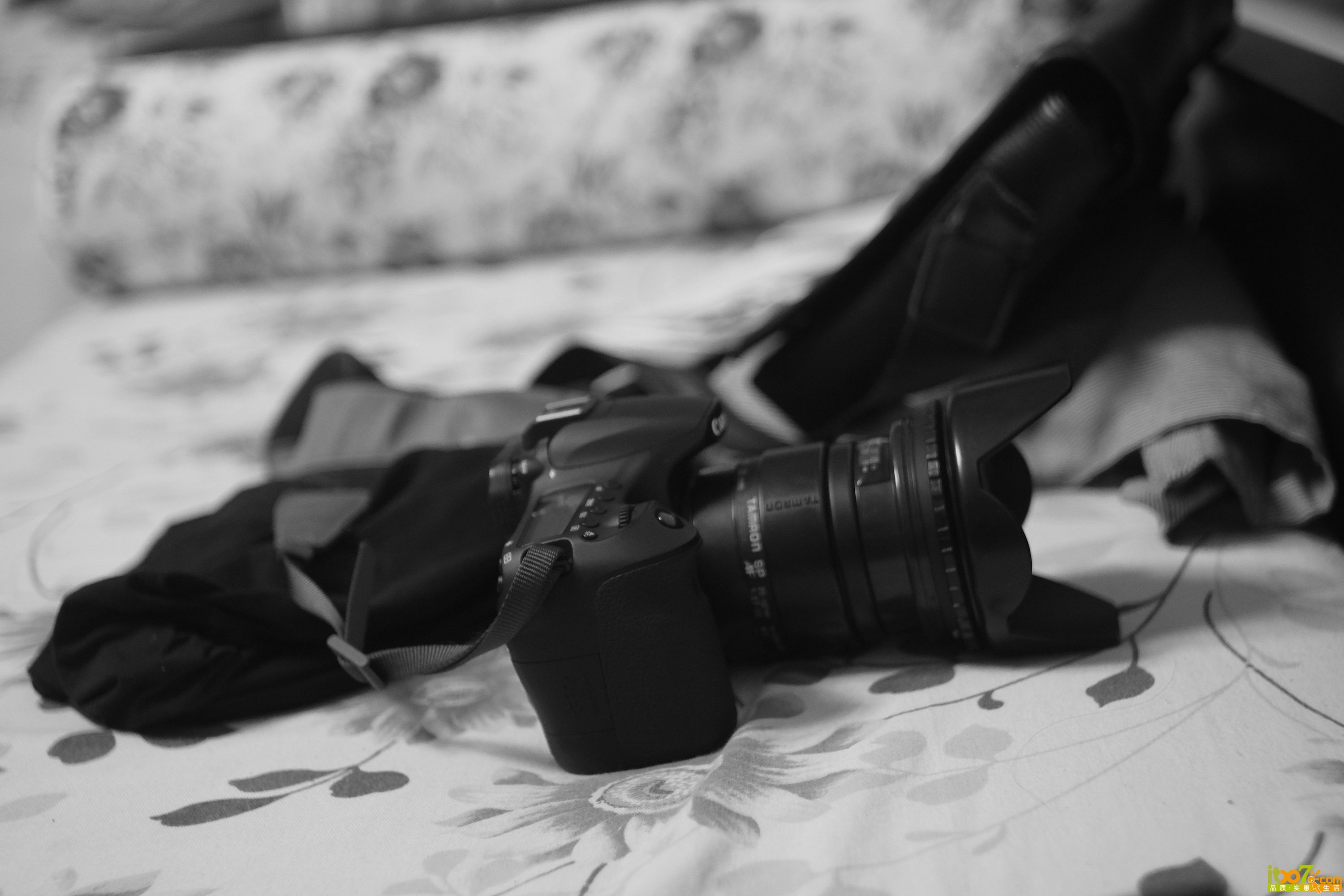 DSCF7648.JPG