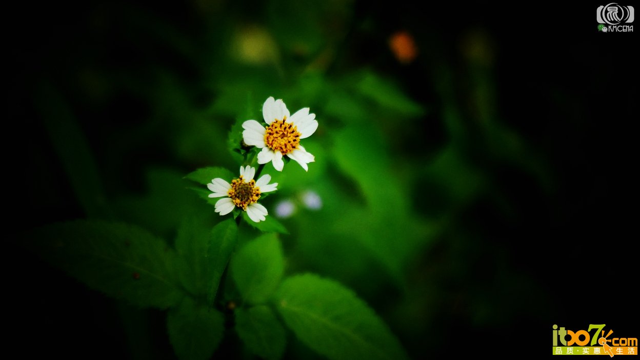 A (9).jpg