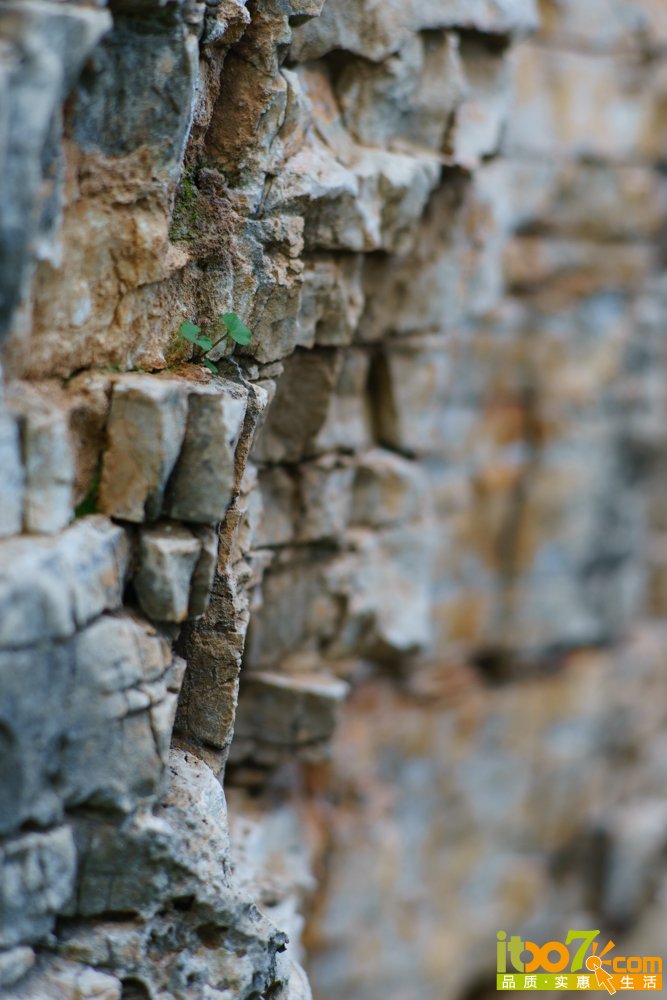 _DSC2061.jpg