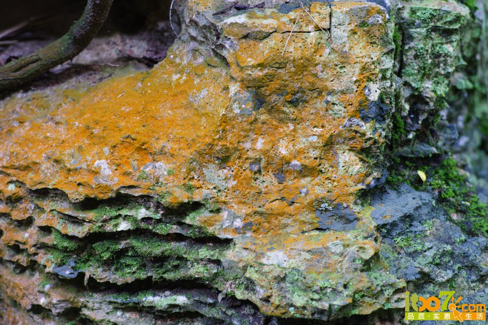 _DSC2062.jpg
