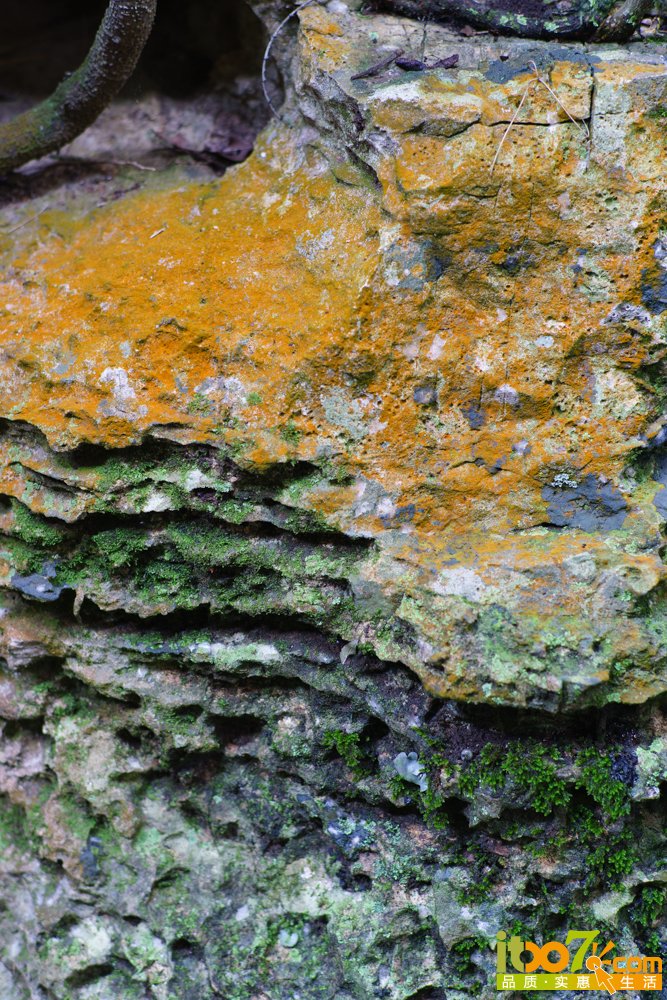 _DSC2063.jpg