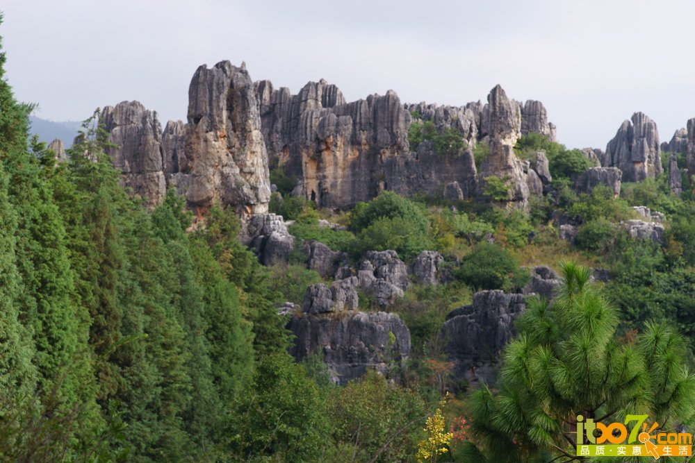 _DSC2076.jpg