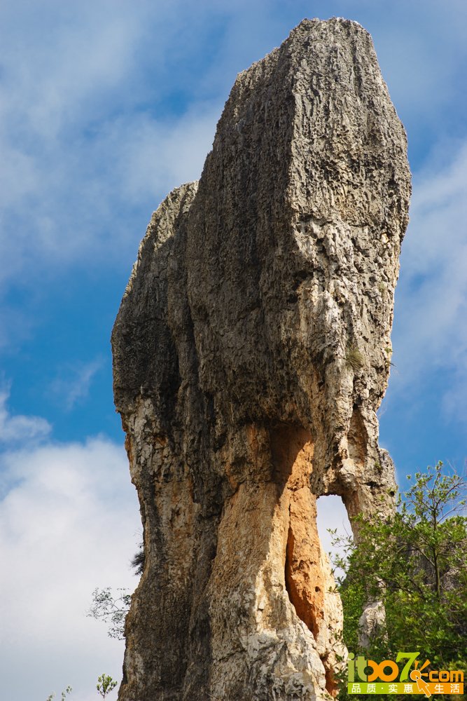 _DSC2103.jpg