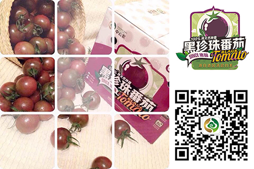黑珍珠扫描图.jpg