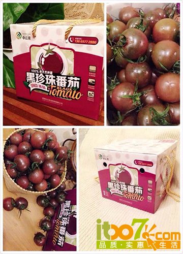 黑珍珠3.jpg