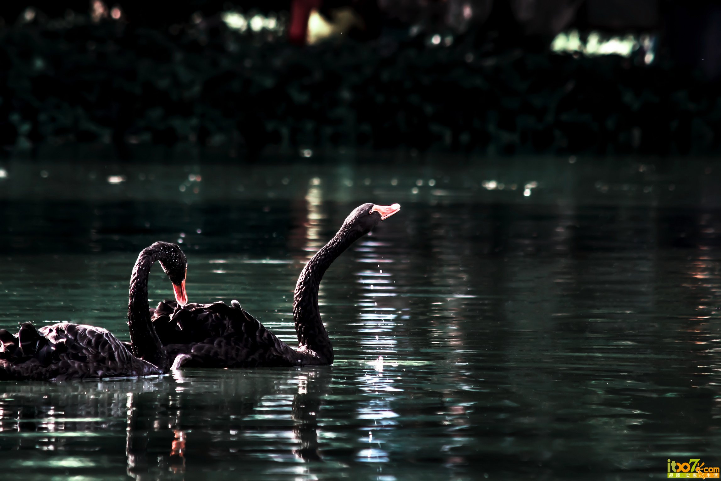 IMG_3305_调整大小.jpg