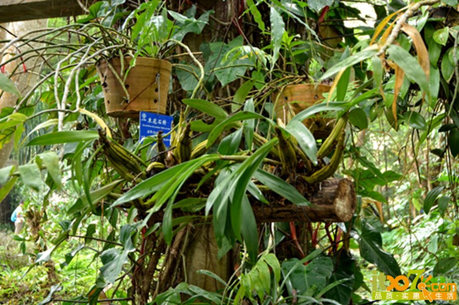 DSC_3915.jpg