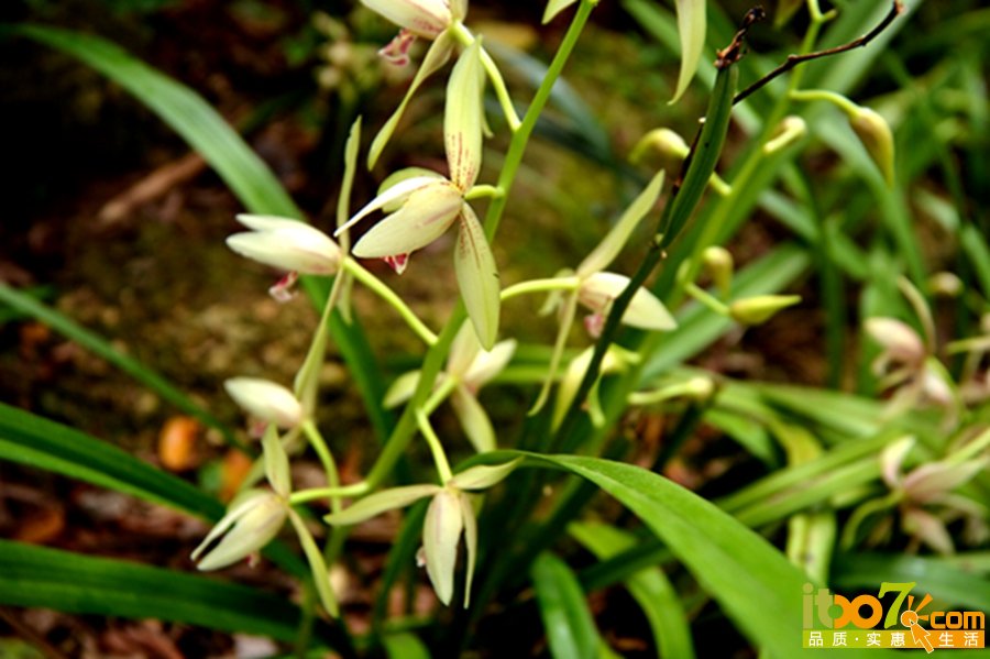 DSC_3920.jpg