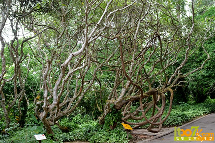 DSC_3982.jpg