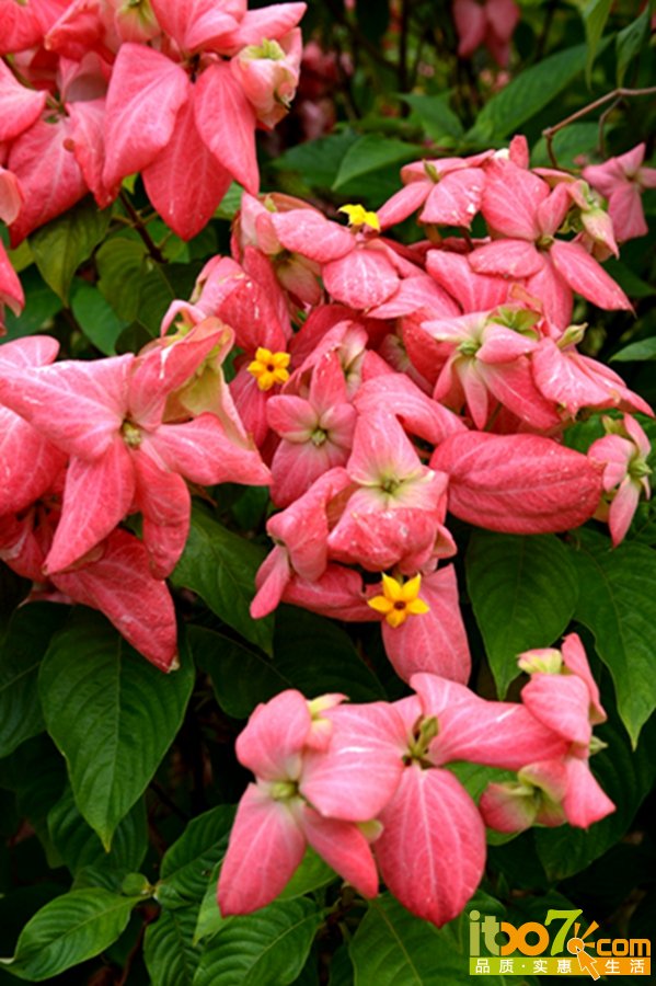 DSC_3995.jpg