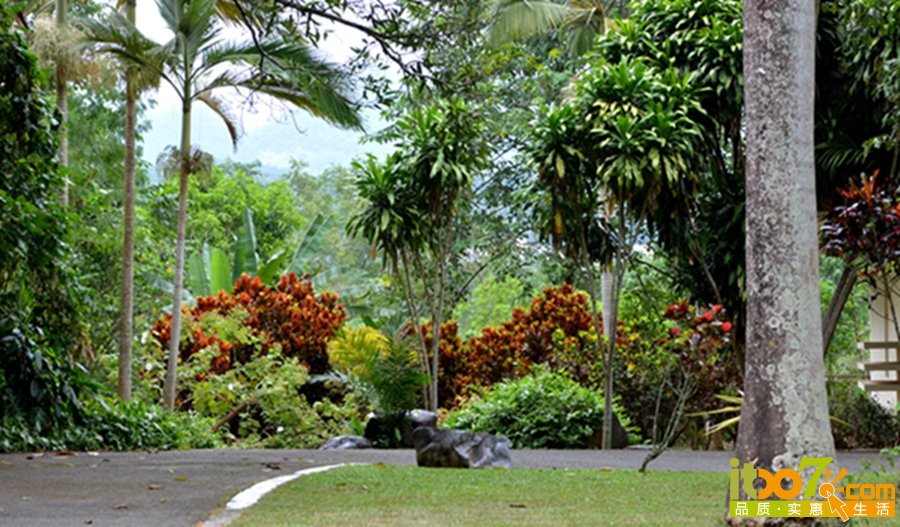 DSC_4016.jpg