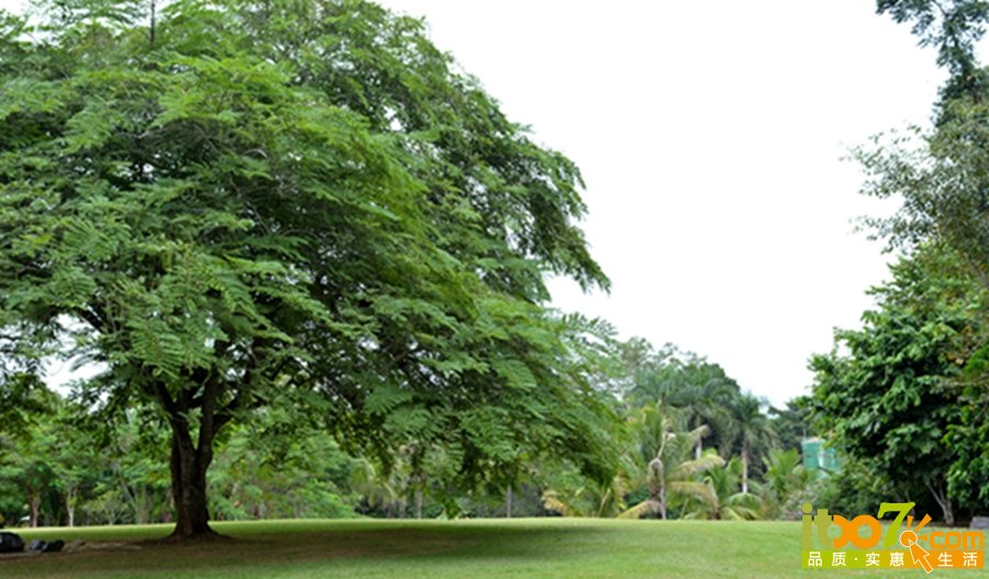 DSC_4020.jpg