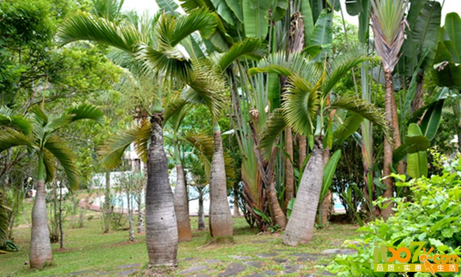 DSC_4022.jpg