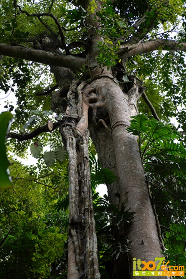 DSC_4029.jpg