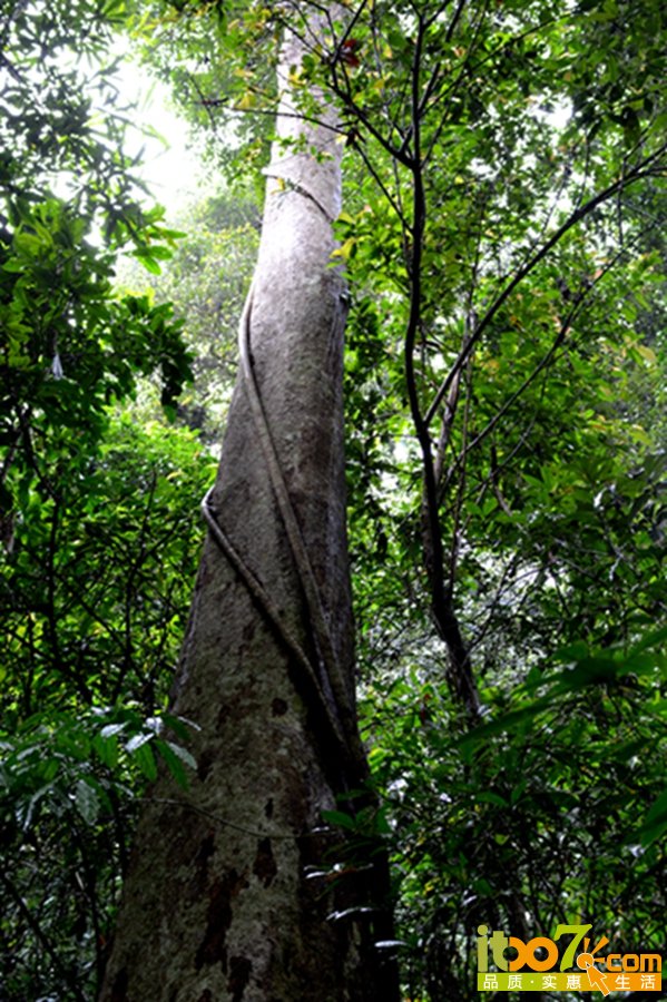 DSC_4034.jpg