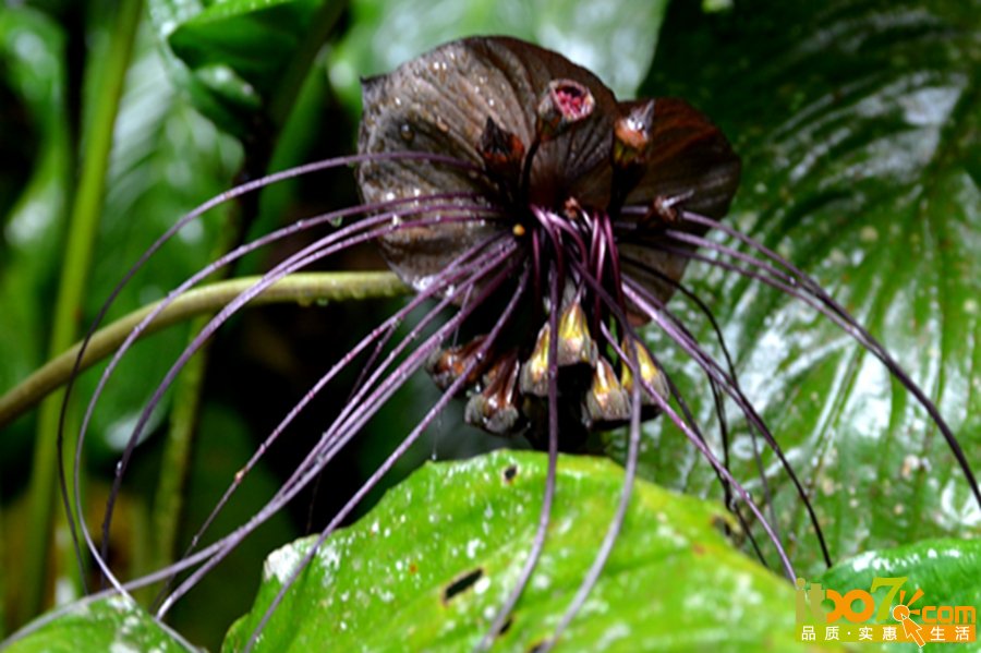 DSC_4038.jpg