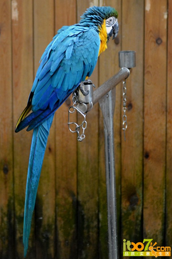 DSC_4165.jpg