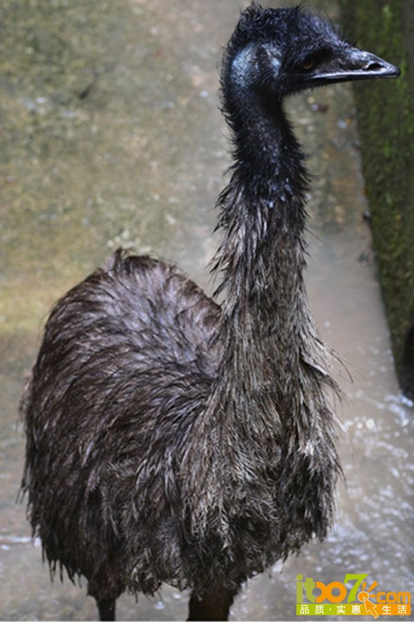 DSC_4168.jpg