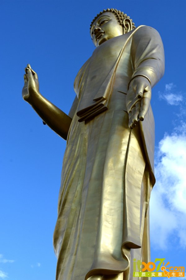 DSC_4236.jpg