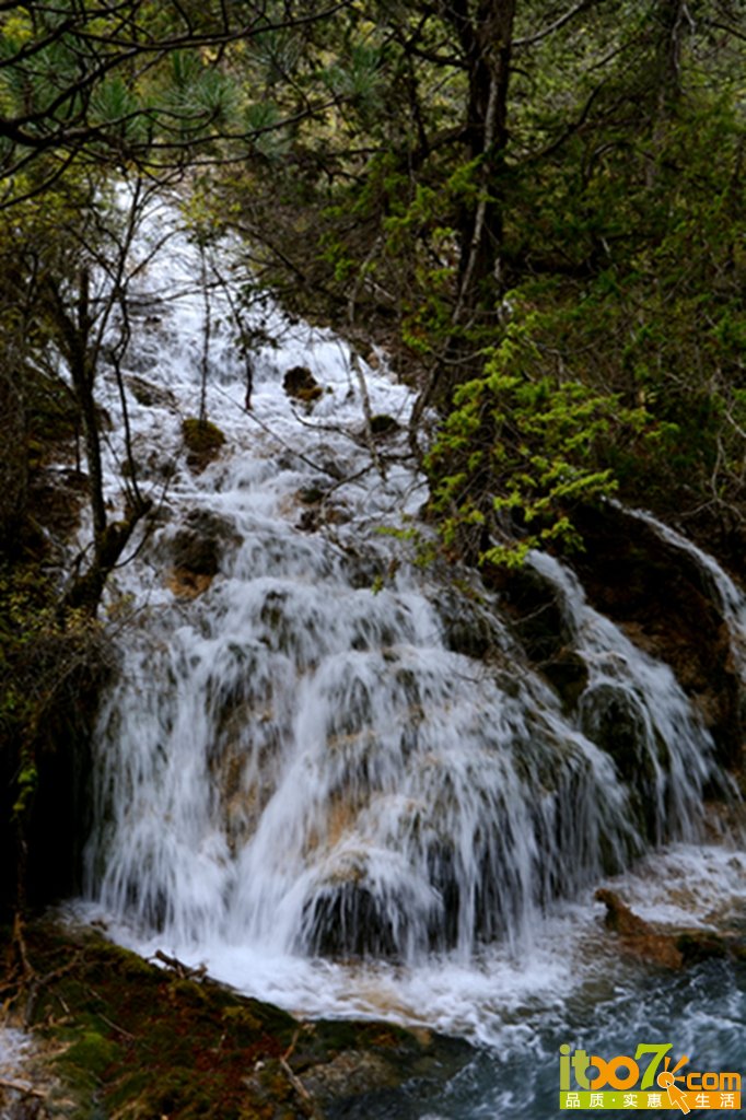 DSC_2108.jpg
