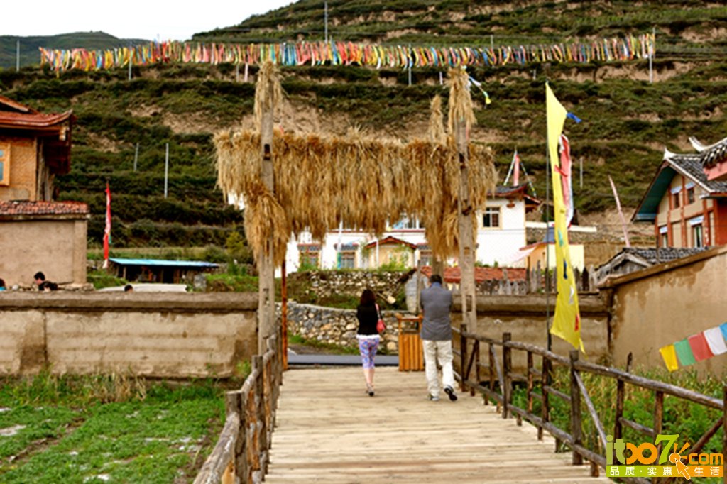 DSC_2446.jpg
