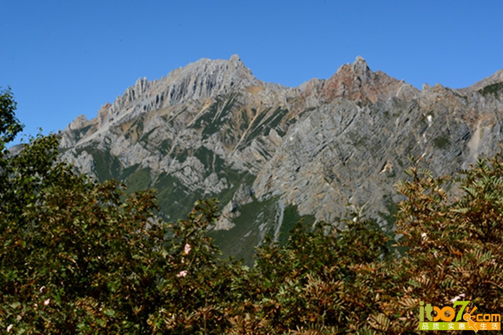 DSC_1775 - 副本 - 副本.jpg