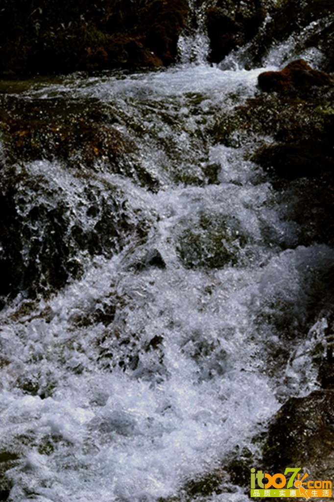 DSC_1937 - 副本.jpg