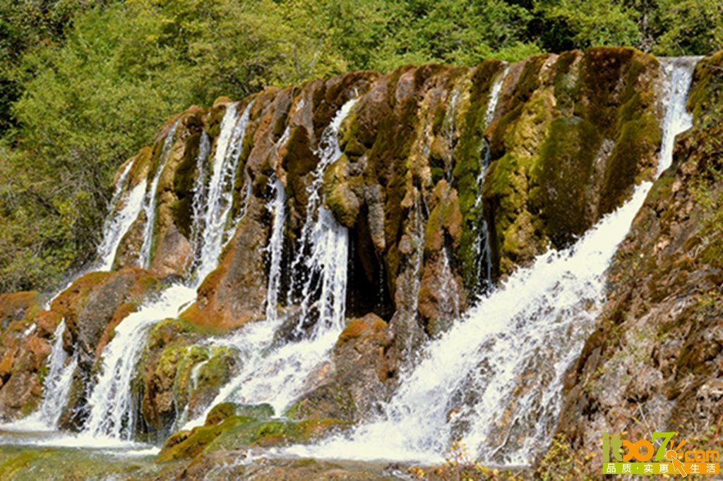 DSC_1965 - 副本.jpg