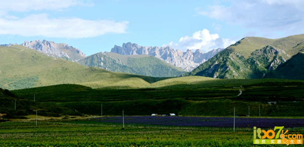 DSC_1975 - 副本.jpg