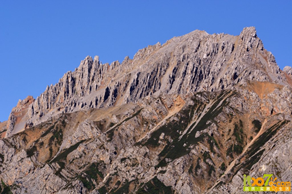 DSC_1758 - 副本 - 副本.jpg